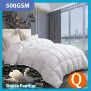Goose Feather Down Quilt 500 GSM Duvet Doonas Queen:210x210cm