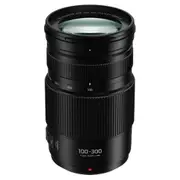 Panasonic Lumix G Vario 100-300mm f4-5.6 II Lens