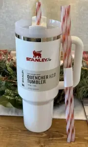 Stanley Mistletoe Twist Flowstate Quencher 40 oz Tumbler LIMITED EDITION New!