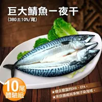 在飛比找momo購物網優惠-【優鮮配】挪威當季鯖魚一夜干10尾體驗組(約380g/整尾)