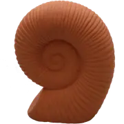 Fossilised Ceramic Snail