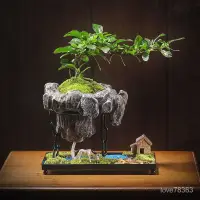 在飛比找蝦皮購物優惠-新品超值【鐵藝懸空福建茶】微景觀創意綠植盆栽居家客廳書房桌面