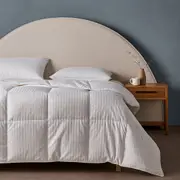 Sienna Living Ultra Warm Winter Hungarian Goose Down Quilt