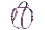 Halti Walking Two Tone Dog Harness (Purple) (Small- Chest: 43cm-60cm)