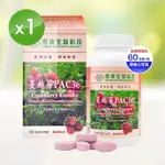 【長庚生技】蔓越莓PAC36口含錠X1瓶(60粒/瓶)