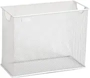 Generic Mesh File Organizer Magazine File Holder Document Folder Holder Crate for Countertop, Argent