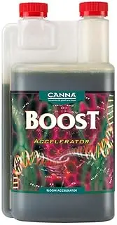 Canna Boost Accelerator