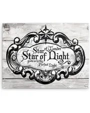 Ready2HangArt Star of Wonder Canvas Wall Art by Olivia Rose