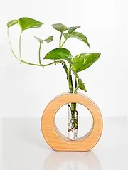 Five Lime, Plant Propagation Station, Desktop Vase with Glass Test Tube Planter for Any Home Décor, Suitable for Indoors, Homes, Apartments and Offices.