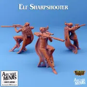 D&D Miniature Elf Gunslinger Dungeons and Dragons 1