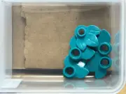LEGO Parts - Dark Turquoise Plant Plate, Round 1 x 1 3 Leaves - No 32607 - QTY 5