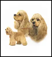 Counted Cross Stitch Kits Needlework Crafts Embroidery - American Cocker Spaniel