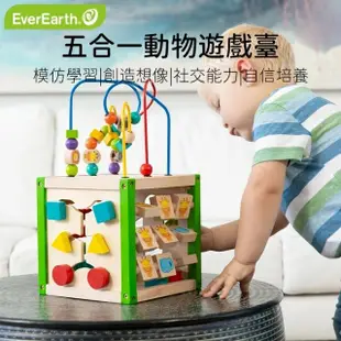 【EverEarth】 五合一多功能遊戲臺