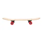 Beginners Skateboard Small Skateboard Adults Skateboard Child