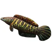 Simulation Fish Doll Plushs Toy Sleep Pillow Aquarium Doll Doll Soft & Huggable