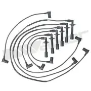 Walker Products 924-1858 Spark Plug Wire Set For 85-89 Porsche 911 (for: Porsche)