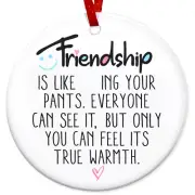 Friend Gifts for Women, Friendship Gifts, Bestie Christmas Ornaments Gifts - Bir