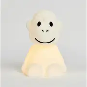 Monkey First Light