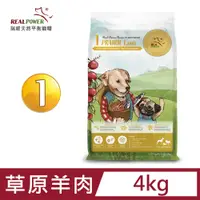 在飛比找PChome24h購物優惠-【Real Power 瑞威】幼犬糧1號 草原羊肉 4kg