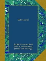 Boll weevil