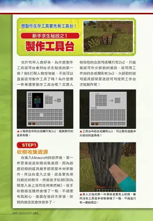 Minecraft DIY大事典: 我的世界