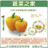 在飛比找樂天市場購物網優惠-【蔬菜之家】G65.彩黃甜椒(黃色甜椒)種子(共有2種包裝可