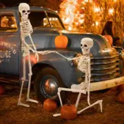 5/3/1Pcs Skeleton Halloween Decorations 40cm Posable Funny Lifelike Plastic Skel