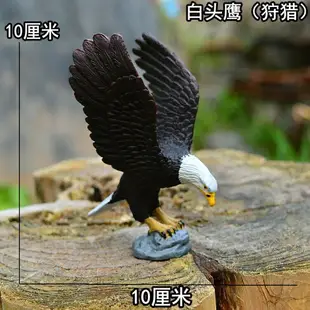 仿真野生動物模型實心飛鳥類微景觀兒童玩具飛禽老鷹鸚鵡天鵝環保