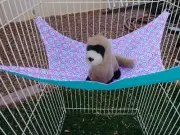 Ferret Hammock - Pink & Blue Pattern - 13" x 14"