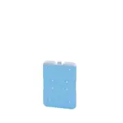 Companion Ice Brick Slim Small (150ml) Cooler Ice Pack Picnic Camping Lunch Box