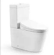 710*390*830mm Poseidon Stella Rimless Back To Wall Smart Toilet