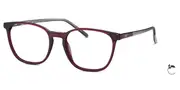 Mini 743021 50 Men's Glasses Purple Size 52 - Private Health Rebate - Blue Light Block Available