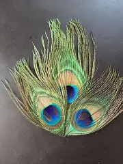 Peacock feathers applique Teal Green Clip Hair Brooch 4"x5"