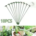 Frame Plant Pile Stand Plants Bracket Plants Support Phalaenopsis Stand