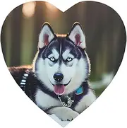 Husky Dog Round Magnetic Fridge Magnets for A Vibrant Kitchen: Durable with Enduring Magnetism