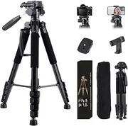 STEUGO 74" Camera Tripod Stand, Foldable Aluminum Tripod, 360° Ball Head Detachable Camera Tripod, Spotting Scope Tripod with Carry Bag, Support Canon,Sony,Nikon,DSLR Camera, Cellphone (Black)