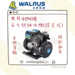 🛠大井-WALRUS🛠HS400B-1/2HP HS800B-1HP 不生銹抽水泵浦-電子式靜音抽水機💡整機保固2年