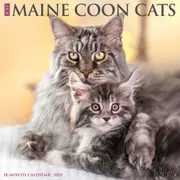 2025 Maine Coon Cats Wall Calendar