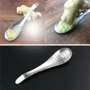 Stainless Steel Ginger Grater Spoon Ginger Tea Spoon Garlic Grater Lemon Ze.CF