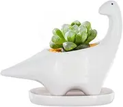 GeLive White Dinosaur Ceramic Succulent Planter Flower Plant Pot Window Box with Saucer Cartoon Animal Decor, 5 Inch, Indoor Outdoor