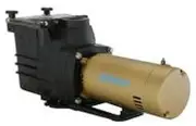 Doheny Pool Pro Plus PMP 1.5 HP