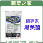 【蔬菜之家滿額免運】菌專家黑美菌(黑殭菌)500G±5%溶磷菌BACILLUS SAFENSIS，CCA