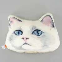 在飛比找Yahoo奇摩拍賣-7-11運費0元優惠優惠-貓雜貨 日本帶回 仿真貓臉抱枕