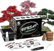 Meekear Bonsai Tree Kit with Complete Plant Growing Tools,Grow in Pot Indoor Bonsai Tree Starter Kit,Home Gardening DIY Gift for Adult (Growing into Acacia,Wisteria,Sakura,Red Maple,Black Pine),Green