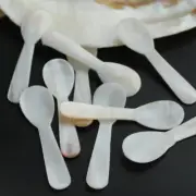 Caviar Server Spoons Mother Of Pearl Spoons Natural Conch Shell Scoop Mini 7.2cm