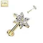 Piercing Labret Ear Yellow Gold 14 Carat Flower 6 Petals