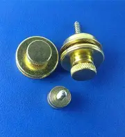 A Set of 2 Gold Heavy Duty Flat Head Style Strap Locks