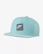 NEW! Jordan Pro Jumpman Snapback Tropical Twist DC3681-307