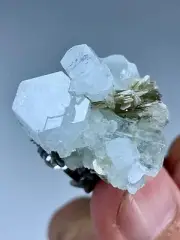 14 Gram Terminated Aquamarine Crystal Cluster Grown On Mica Specimen From Skardu