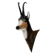 New Delta McKenzie Replacement Chamois Head
